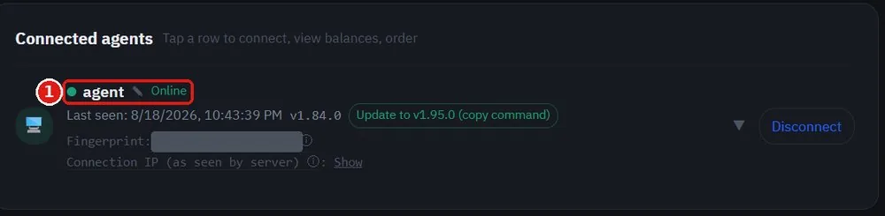 SoriTrading Connected agents list showing the server marked Online