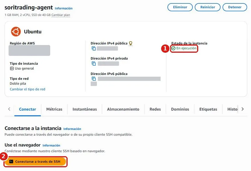 Página de detalles del servidor: el estado de la instancia es En ejecución y debajo está el botón naranja Conectarse a través de SSH