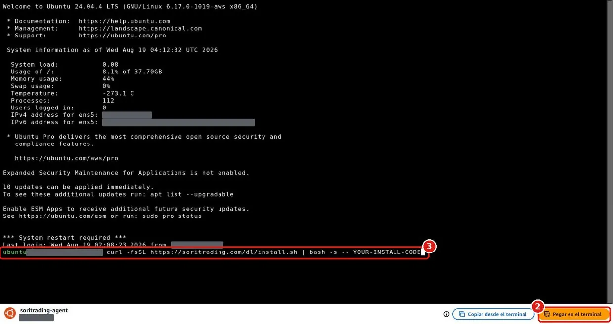 Ventana negra del terminal con el botón naranja Pegar en el terminal abajo a la derecha y el comando escrito en la línea del cursor