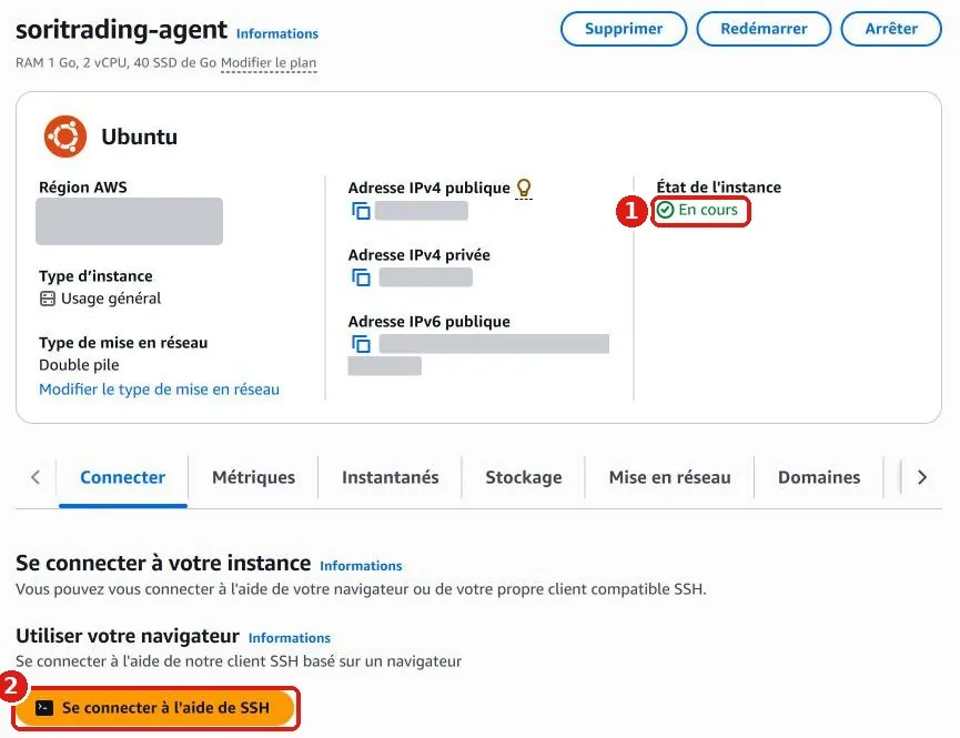 Page de détail du serveur : l'état de l'instance est En cours et le bouton orange Se connecter à l'aide de SSH est en dessous