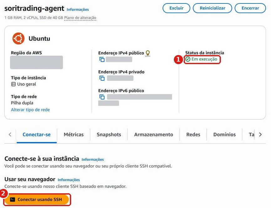 Página de detalhes do servidor: o status da instância é Em execução e abaixo está o botão laranja Conectar usando SSH