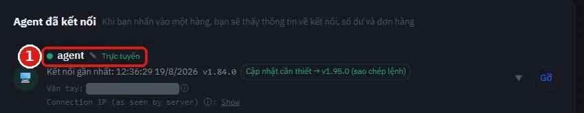 Danh sách Agent đã kết nối của SoriTrading hiển thị máy chủ ở trạng thái Trực tuyến